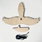 Bridget Farmer | Paint-a-Parrot Craft Kit